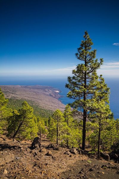 Canary Islands-El Hierro Island-Malpaso Mountain-elevation 1503 meters